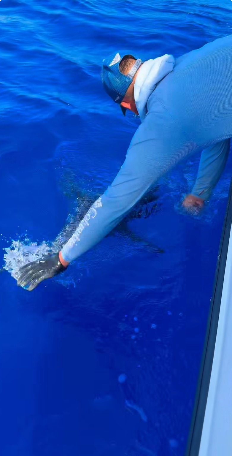 Fish release